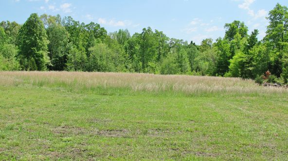 538 Dawson Rd, Princeton, KY 42445
